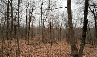 TBD1 E Willow Rd, Bloomfield, IN 47424