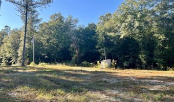 0 Lloyd Mill Rd, Andalusia, AL 36421