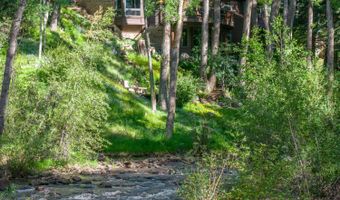 115 Neale Ave, Aspen, CO 81611