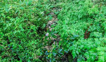 51 Bell Rd, Asheville, NC 28805