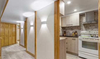 1145 S Chestnut Ave, Arlington Heights, IL 60005