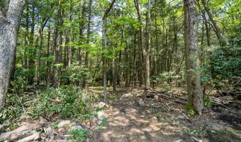 18 Holiday Dr, Albrightsville, PA 18210