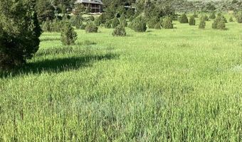 229 Rustic Rd, Bellvue, CO 80512