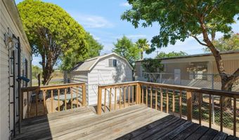 346 Windmill Palm St, Alamo, TX 78516