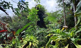 105 Hana Hwy, Hana, HI 96713