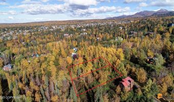 L9 & L10 Feodosia Drive, Anchorage, AK 99516