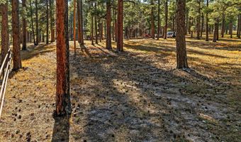 25319 US Hwy 191, Alpine, AZ 85920