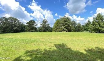 3945 Old Trezevant Rd, Atwood, TN 38220