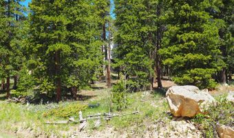 0 Caesar Rd, Black Hawk, CO 80422