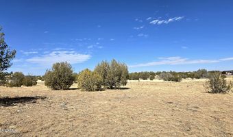 8495 W Antelope Run Rd, Ash Fork, AZ 86320