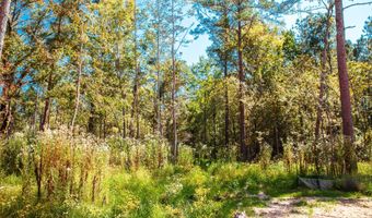 575 Rabbit Pen Dr, Appling, GA 30802