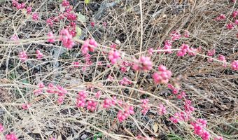 4775 S 50th Rd, Aldrich, MO 65601