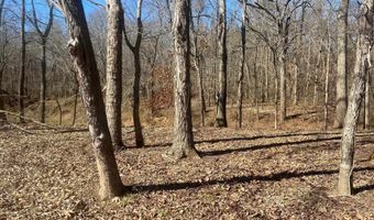 36 TOWBOAT Ln Lot 36, Adamsville, TN 38310