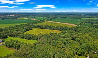 00 Ed Wood Rd, Bells, TN 38006
