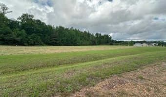 PEAR BLOSSOM Ln, Adamsville, TN 38310