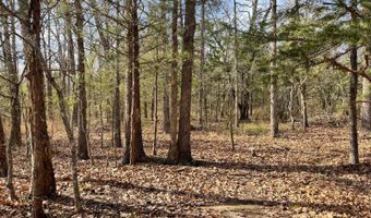 414332 E 1885 Rd, Antlers, OK 74523