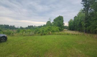 551 Gravel Hill Rd, Allendale, SC 29810