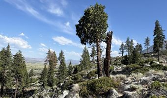 Kingsbury Grade, Gardnerville, NV 89460