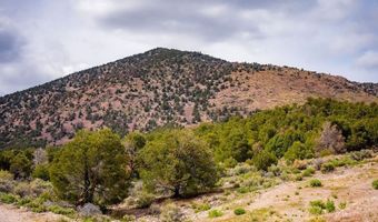 1090 Cherry Creek Rd, Ely, NV 89301
