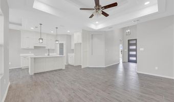 429 Serg Loop, Alamo, TX 78516