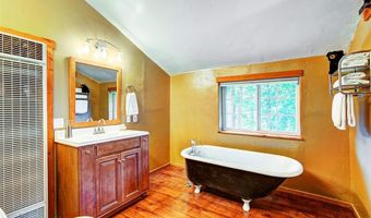 926 NUTHATCH Dr, Alma, CO 80420