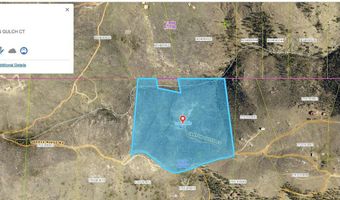 100 Canyon Gulch Rd, Bellvue, CO 80512