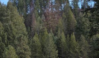 2477 Cedonia-Addy Rd, Addy, WA 99101