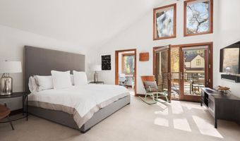 602 W Hallam St, Aspen, CO 81611