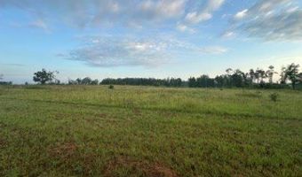 447 CR 215, Abbeville, MS 38601