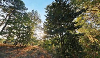 0000 Mountain View Way, Bainbridge, GA 39819