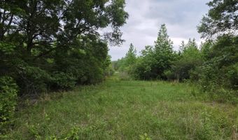 1542 Wellman Dr, Brookhaven, MS 39601