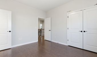 721 Vine Pond Ct, Apex, NC 27523