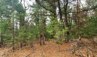 Dyke Avenue lot 8, Adams, WI 53910