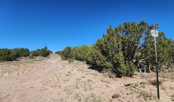 85 N 8522, Concho, AZ 85924