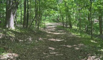 10515 Paw Paw Springs Rd, Arrington, TN 37014