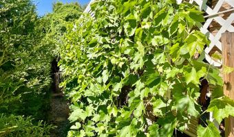 221 Gold Hill Dr, Carson City, NV 89706