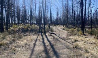 0 Bull Pine Rd 4, Bly, OR 97622