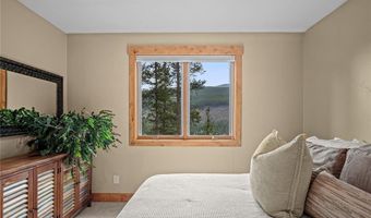 314 Coronet Dr, Blue River, CO 80424