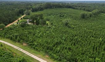 0 County Road 204, Ariton, AL 36311