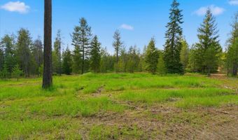 NKA 10-Ac E Parks Rd, Athol, ID 83801