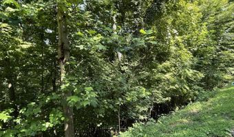 Stoneway Court lot 926, Baneberry, TN 37890