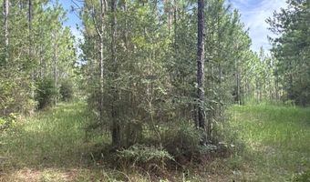 259 Forest Lake Rd, Beaumont, MS 39423