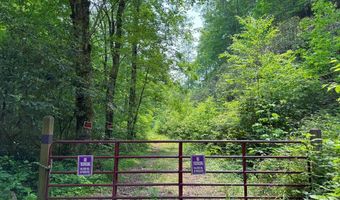 88 Acres Bolden Br, Andrews, NC 28901