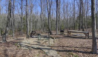 164 Back Acres Rd, Chapin, SC 29036