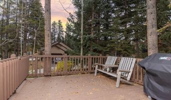 114 PARK FOREST Dr, Breckenridge, CO 80424