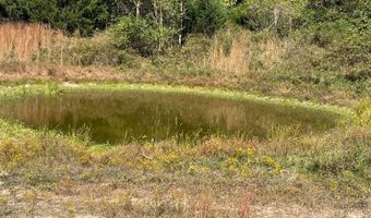 6312 County Road W76-436, Ava, MO 65608