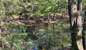 0 Lloyd Mill Rd, Andalusia, AL 36421