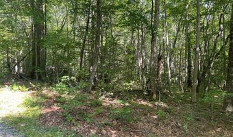 3 Clear Fork Creek Rd 31, Bastian, VA 24314