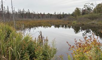 M17L21 Basin Road, Addison, ME 04606