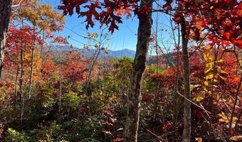 Musket Dr lot 66, Almond, NC 28702